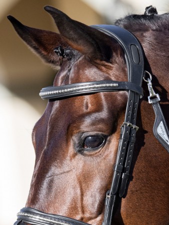 Frontal plat clincher argenté