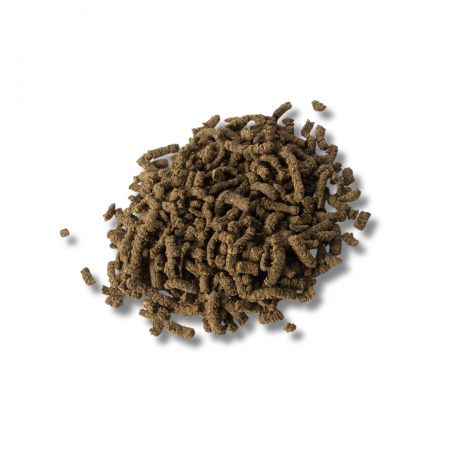 Harpagophytum et prêle