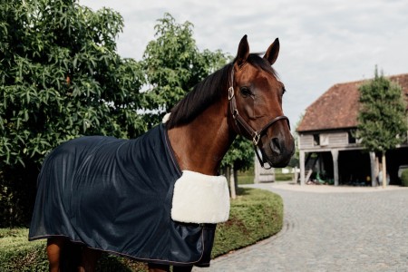 Horse Bib Protection Poitrail Mouton