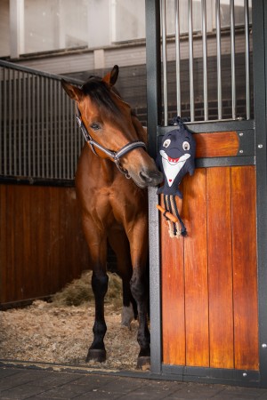 Jouet Dolphin Classic Sports 26