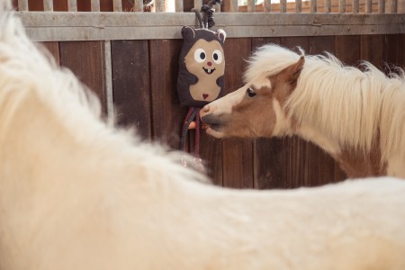 Jouet Hamster Heritage 25