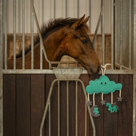 Jouet poiur chevaux Novy