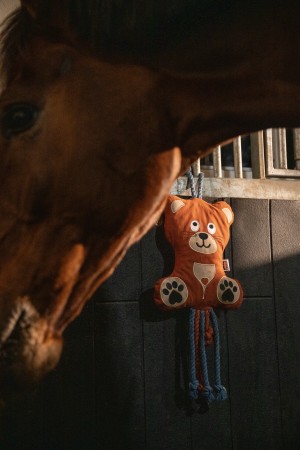 Jouet pour chevaux Ours Platinum 26