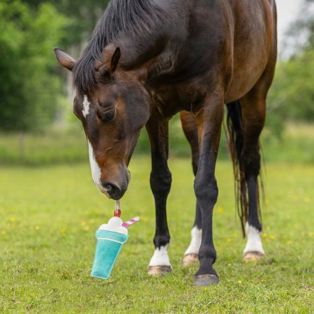 Jouet pour chevaux Snackcounter