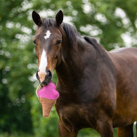 Jouet pour chevaux Snackcounter