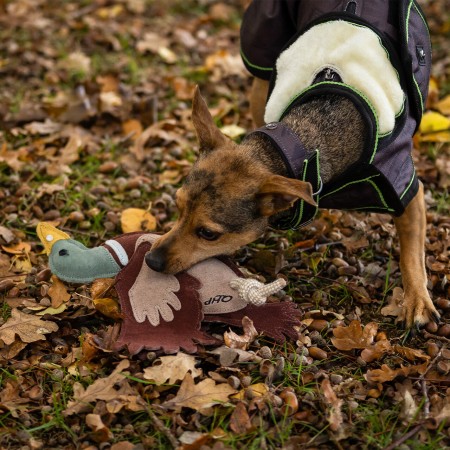 Jouet pour chien collection FW26