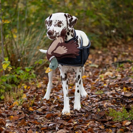 Jouet pour chien collection FW26