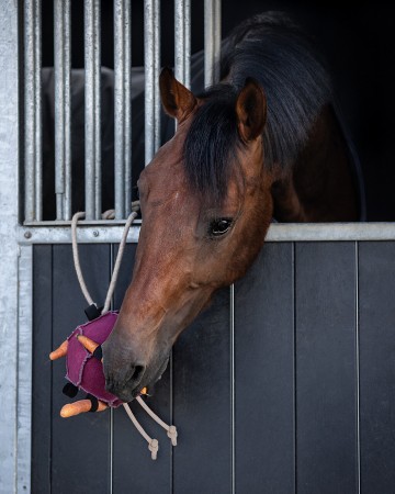 Jouets pour chevaux ball