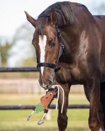 Jouets pour chevaux Good luck