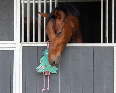 Jouets pour chevaux Noël