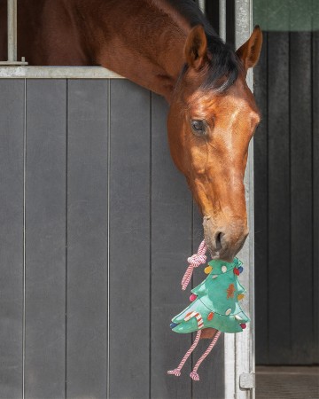 Jouets pour chevaux Noël