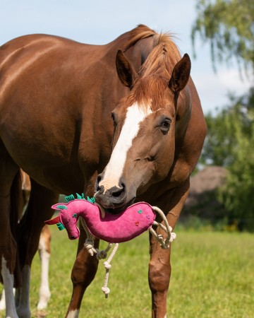 Jouets pour chevaux