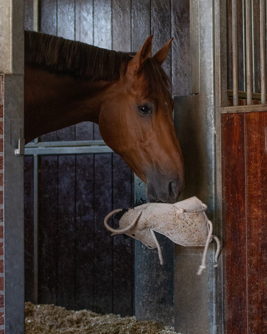 Balle jouet pour chevaux Horsen Around - STABLE PRO - Jouets