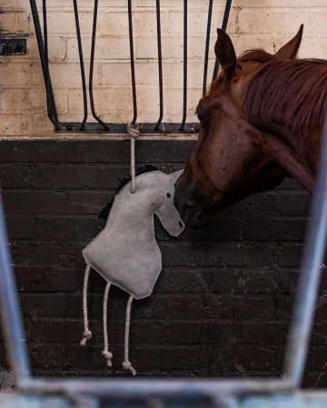 Jouets pour chevaux