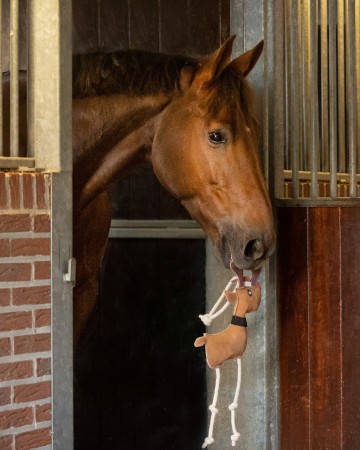 Jouets pour chevaux