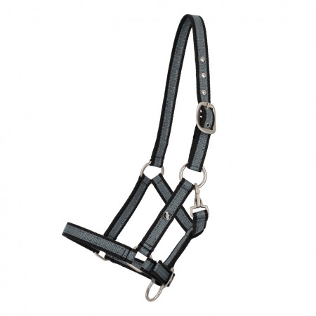 Licol de poulain collection SS6