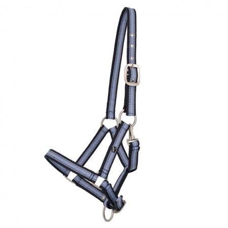 Licol de poulain collection SS6