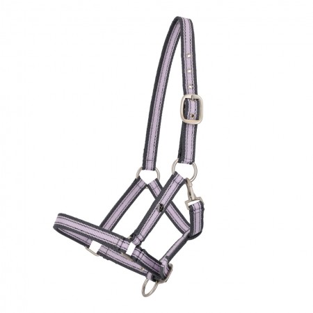 Licol de poulain collection SS6