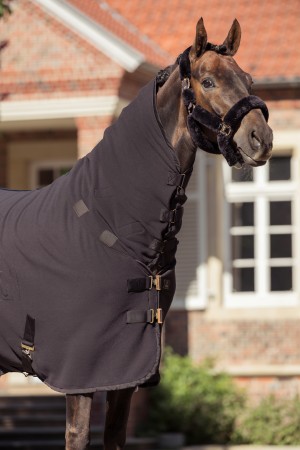 Licol de transport en mouton Heritage 25