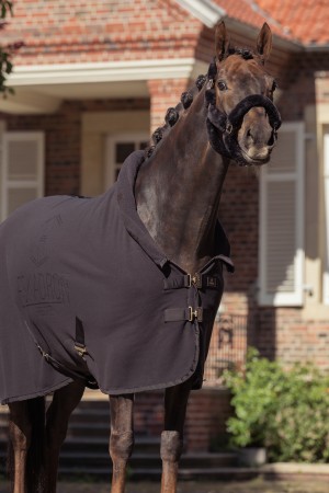 Licol de transport en mouton Heritage 25