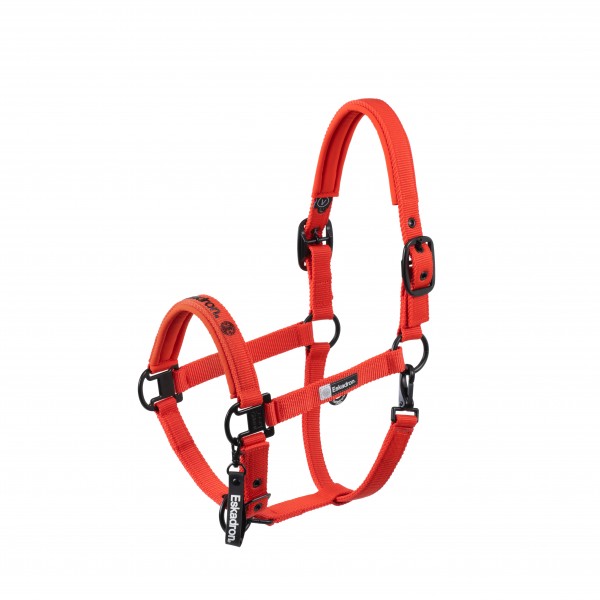 Licol Dynamic 25