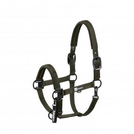 Licol Dynamic 25
