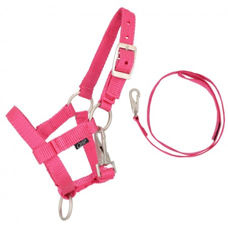 Licol et longe  pour Hobby Horse