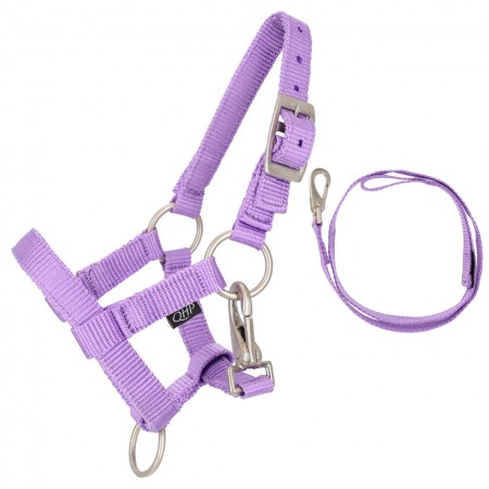 Licol et longe  pour Hobby Horse