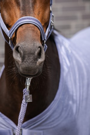 Licol Softshell Jewel Classic Sports 26