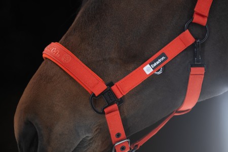 Licol Sparkle Dynamic 25
