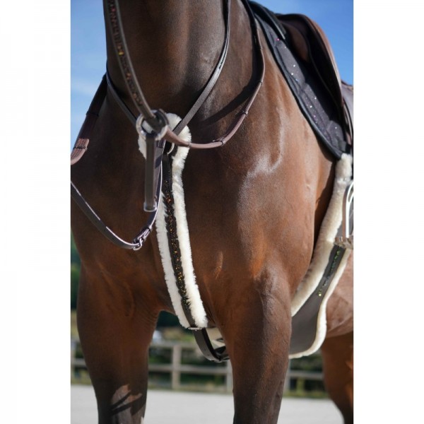Martingale  anneaux Disco noir