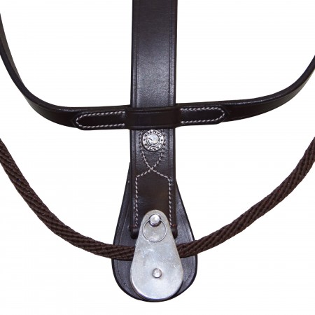 Martingale Howlett corde