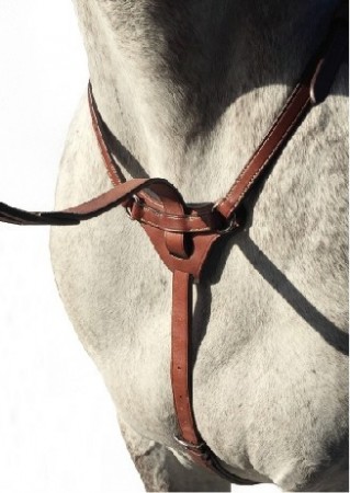 Martingale Marron Cavaletti