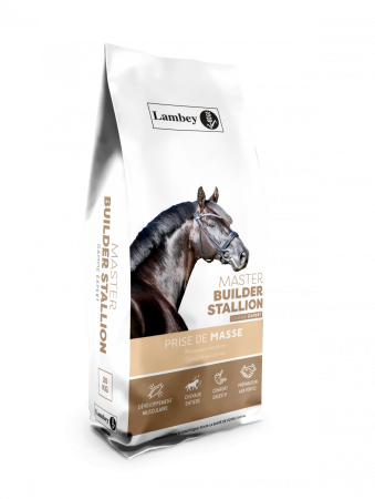 MASTER STALLION 20KG