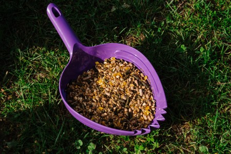 Mesure &agrave; grain