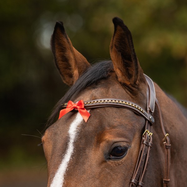 Noeud d\'avertissement small