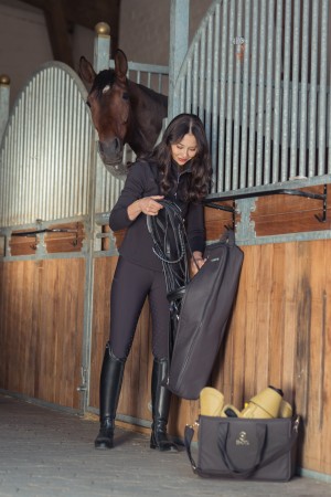 Organiseur de pansage 