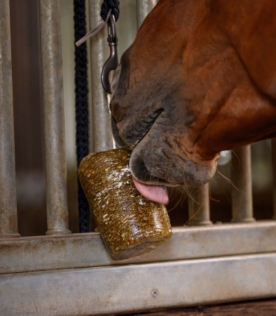 Friandises et Jouets