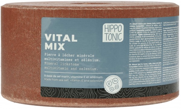 Pierre  sel Vitalmix