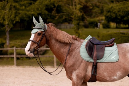 R�nes et accessoires