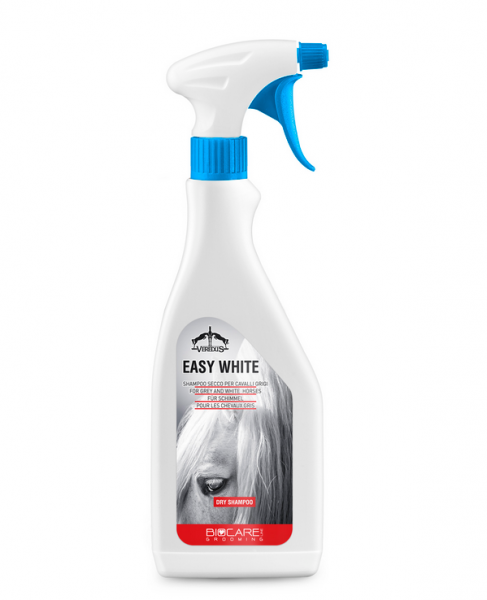 Shampoing sec