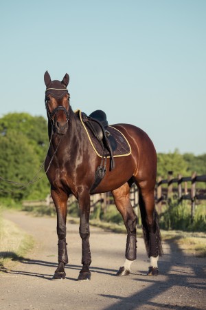 Tapis coton glitter Heritage 25